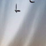 1740461364734cf6ff56d7e344dd283a819f4abab1.jpg
