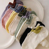 1741426708e7599198560cb7d716ef210e59bdf315_thumbnail_900x.webp