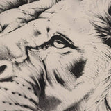 1741745496226fe26da7d837f0cd6bf0671b73beea_thumbnail_900x.webp