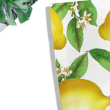 174779601634fa54289e0ef69037798e09ea37e0f6_thumbnail_900x.webp