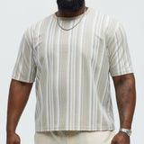 Camisa De Manga Corta Textured Striped - Gris Pardo/Combinado
