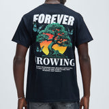 Camisa De Manga Corta Forever Growing - Negro