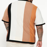 Camisa Polo Levels Striped Short Sleeve Knit - Café/Combinado