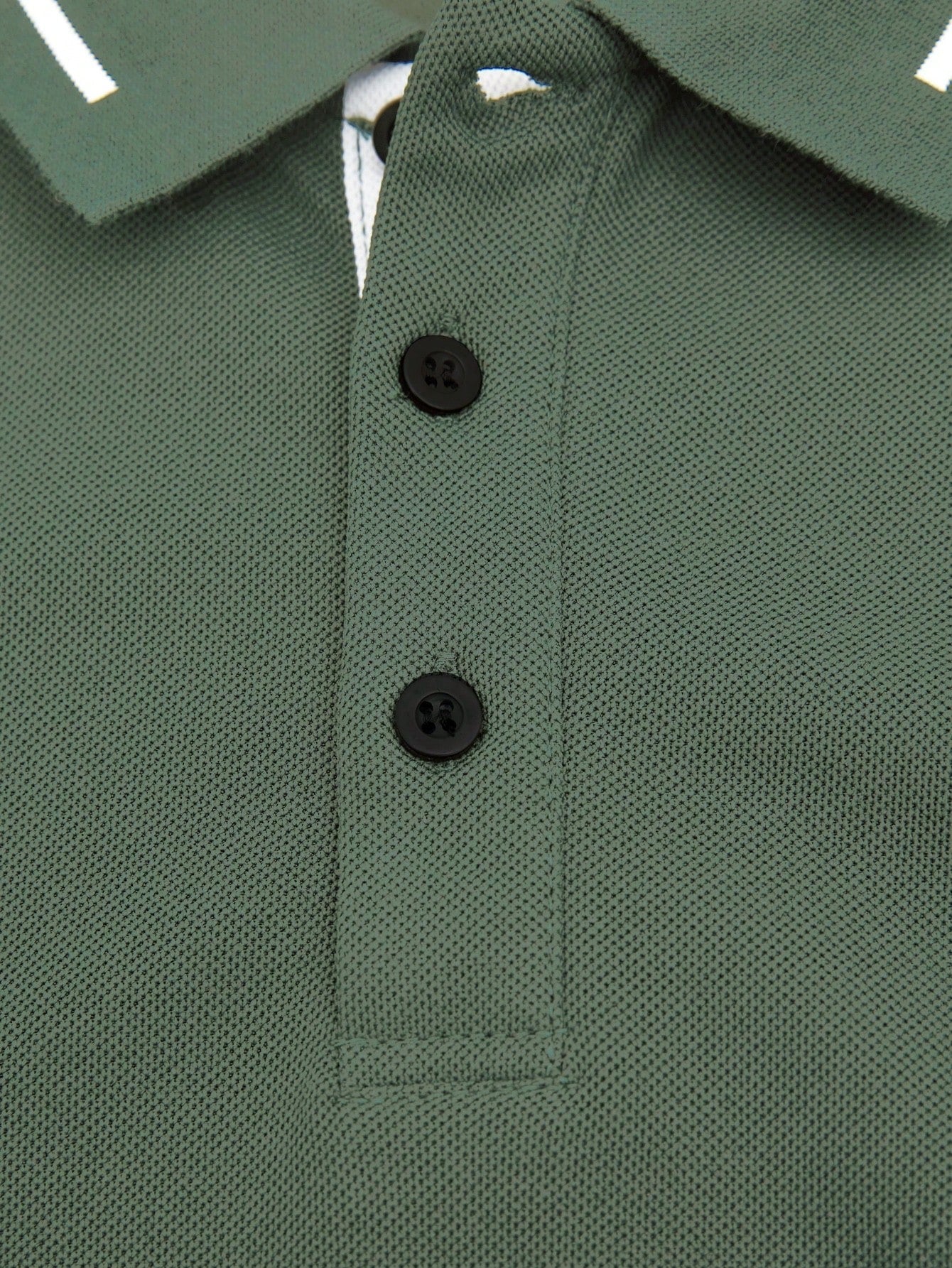 1725536816cec4cfc0899820a4b45f59753967e3c5.jpg