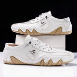 1740019867384b3cda066cb3d4a63453498f5d5784_thumbnail_900x.webp