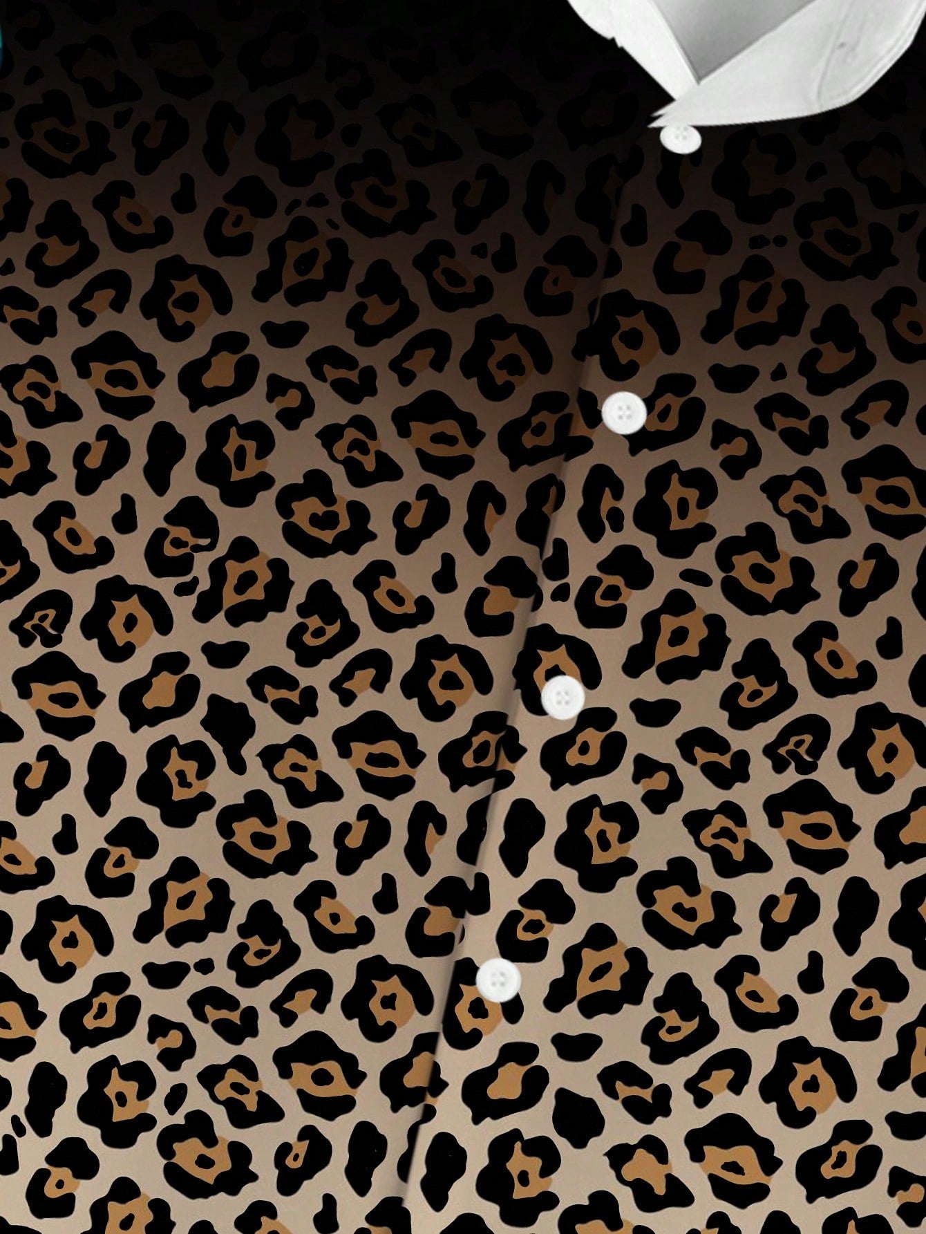 174408300048126de3fafb47391b02356b9bbaadec.jpg
