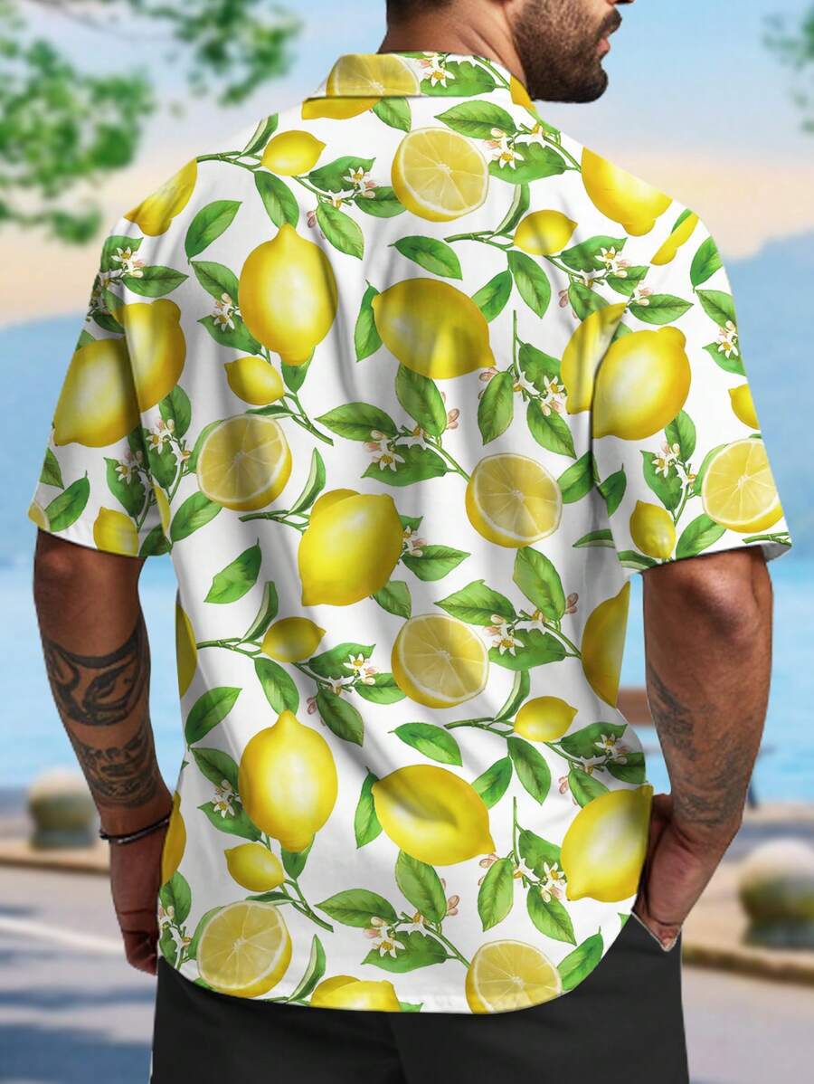 1747796011bb1df8b4d88e81f09c86c19c6bd8ed2d_thumbnail_900x.webp