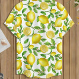 17477960142a5a2b3b35c037bd253ae46a513c57b2_thumbnail_900x.webp